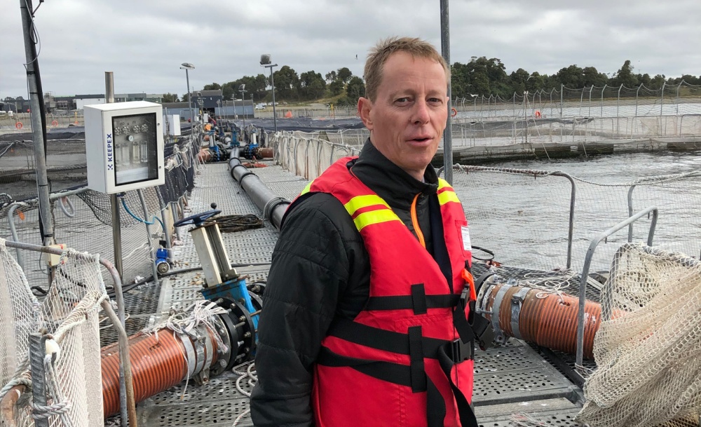 Bild Gilbert Sea Cage