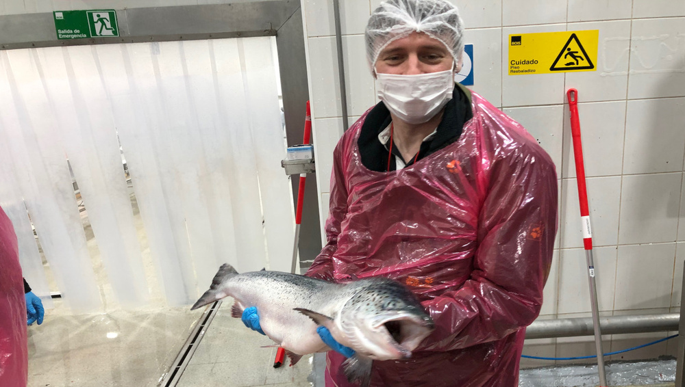 Bild Martin mit 5.5kg Lachs