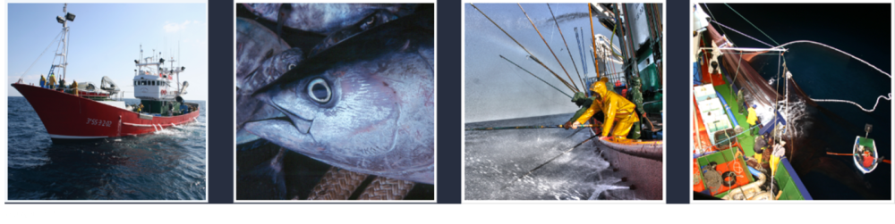 International Commission for the Conservation of Atlantic Tunas