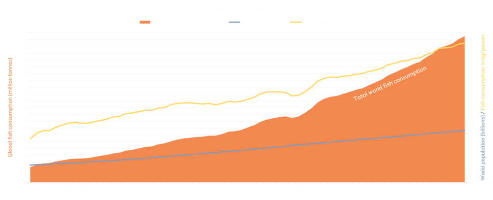 Graphic FAO Development of Fish Consumption and Population Growth
