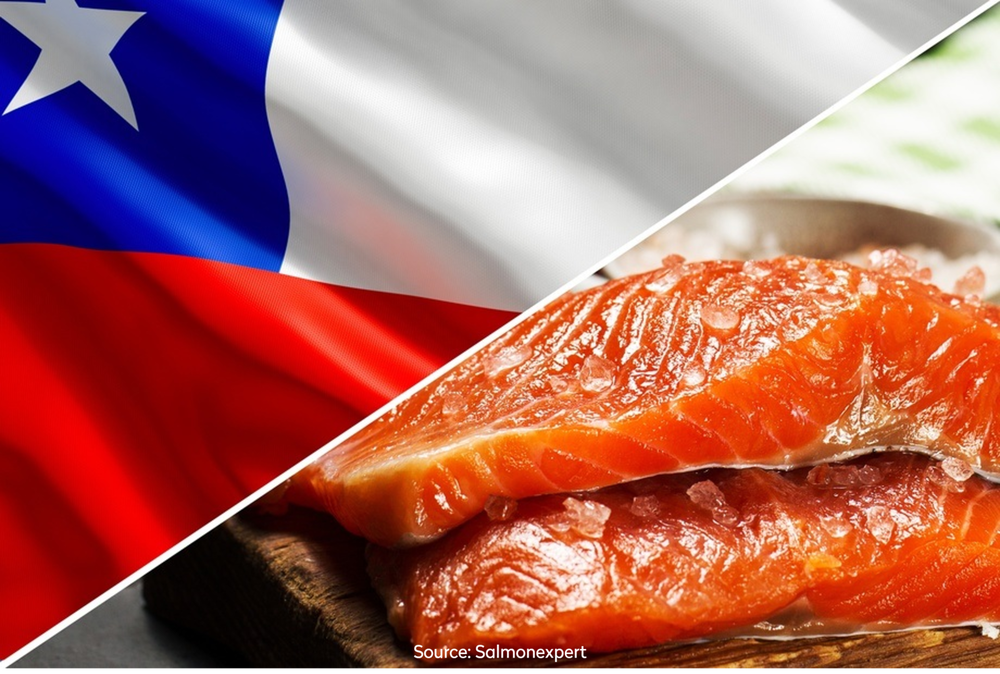 Picture Chile and Salmon