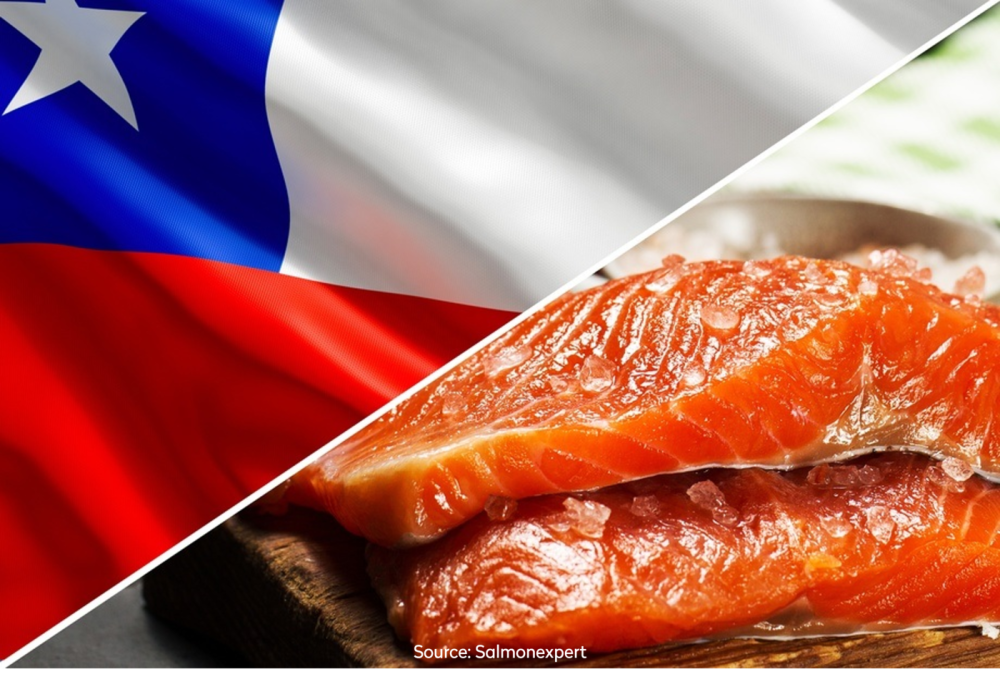 Picture Chile and Salmon