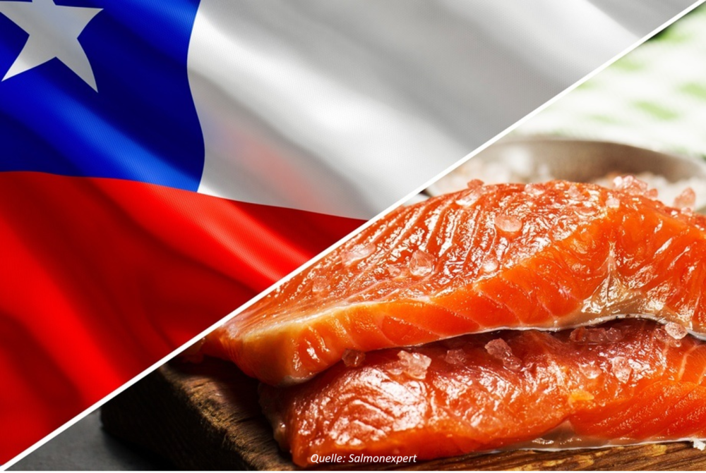 Bild Chile und Lachs
