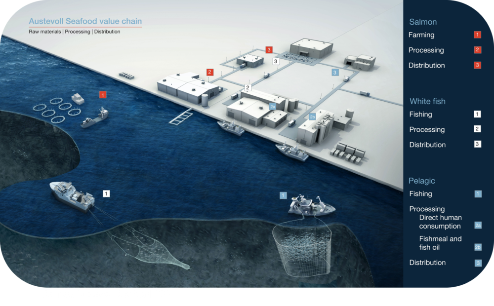 Picture Austevoll Value Chain