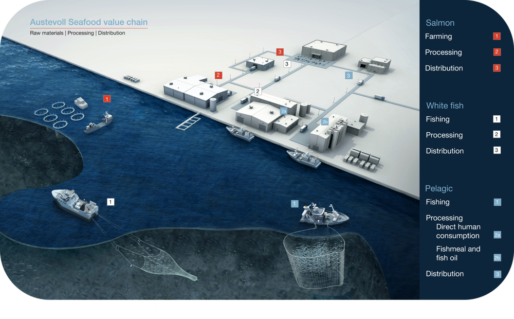 Picture Austevoll Value Chain