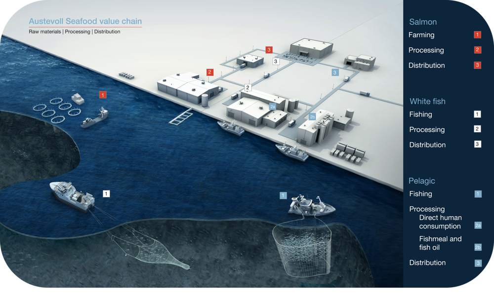 Bild Austevoll Value Chain