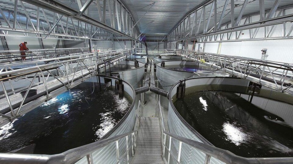 Interior view of a modern indoor fish farming facility from AKVA Group with multiple large water tanks