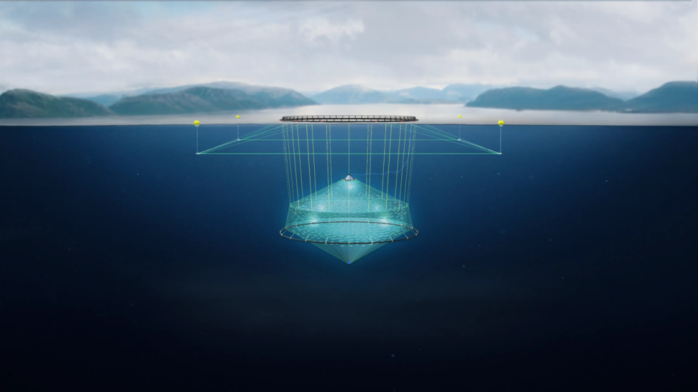 Schematic illustration of a modern offshore fish cage beneath the sea surface
