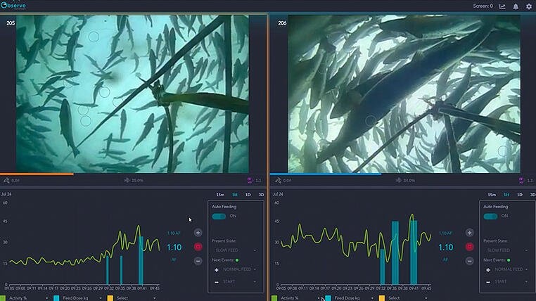Underwater view of fish in an aquaculture cage with AI-driven feeding and real-time data analysis on screens