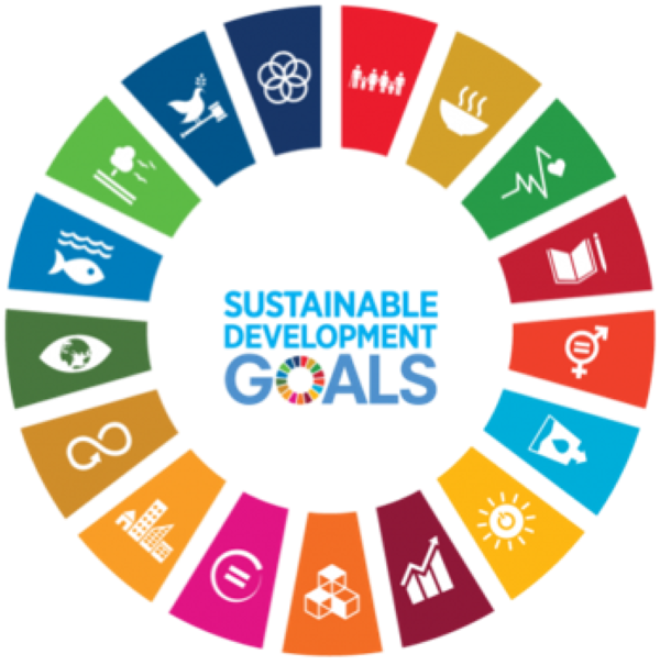Picture Sustainable Development Goals