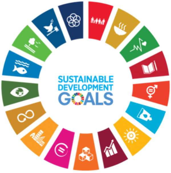 Picture Sustainable Development Goals