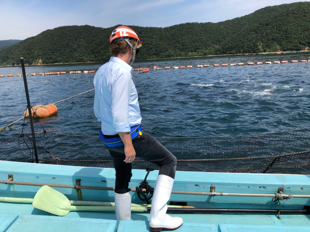 Picture Bluefin Tuna Cage