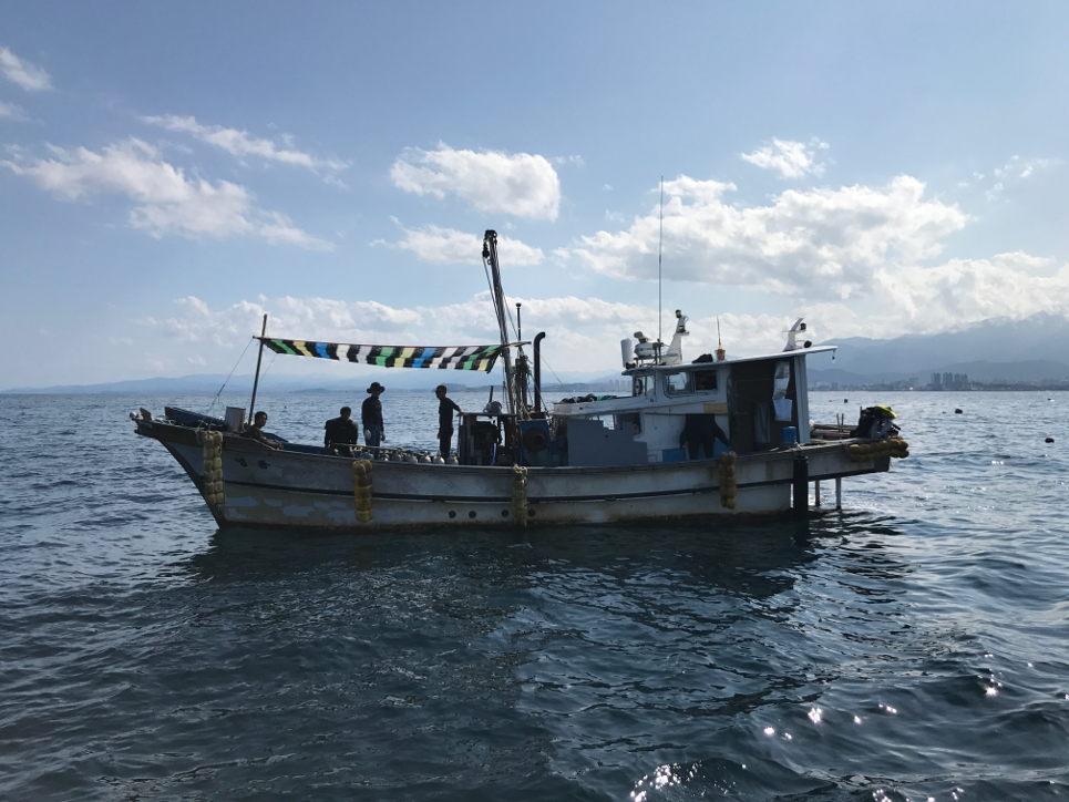 Bild Fischerboot