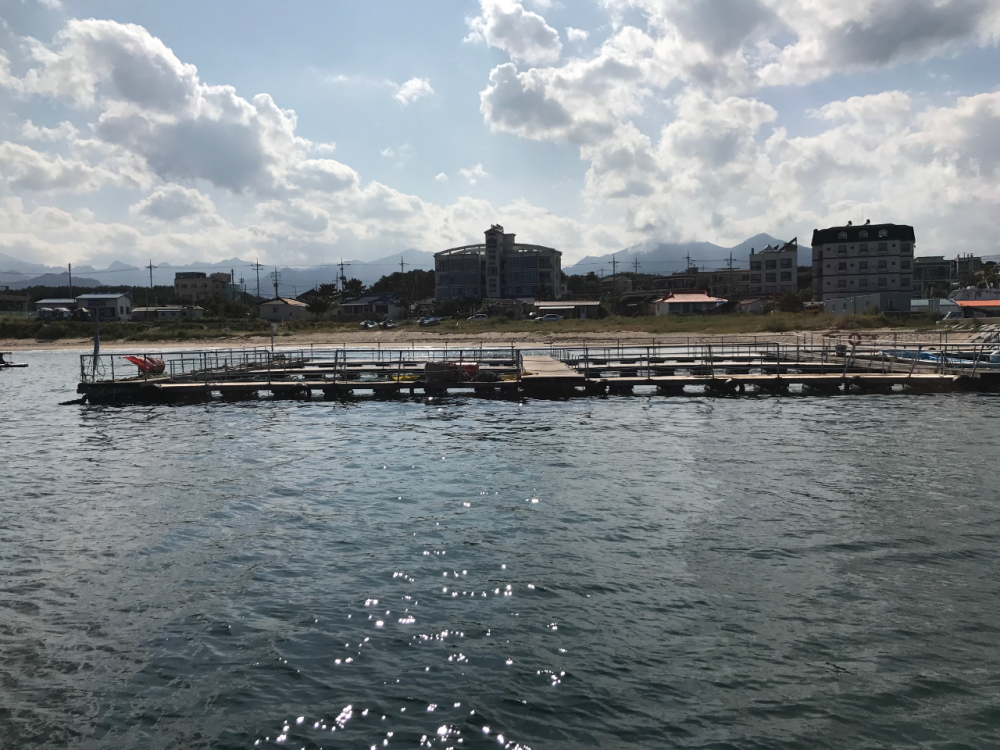 Picture Transportation Cage