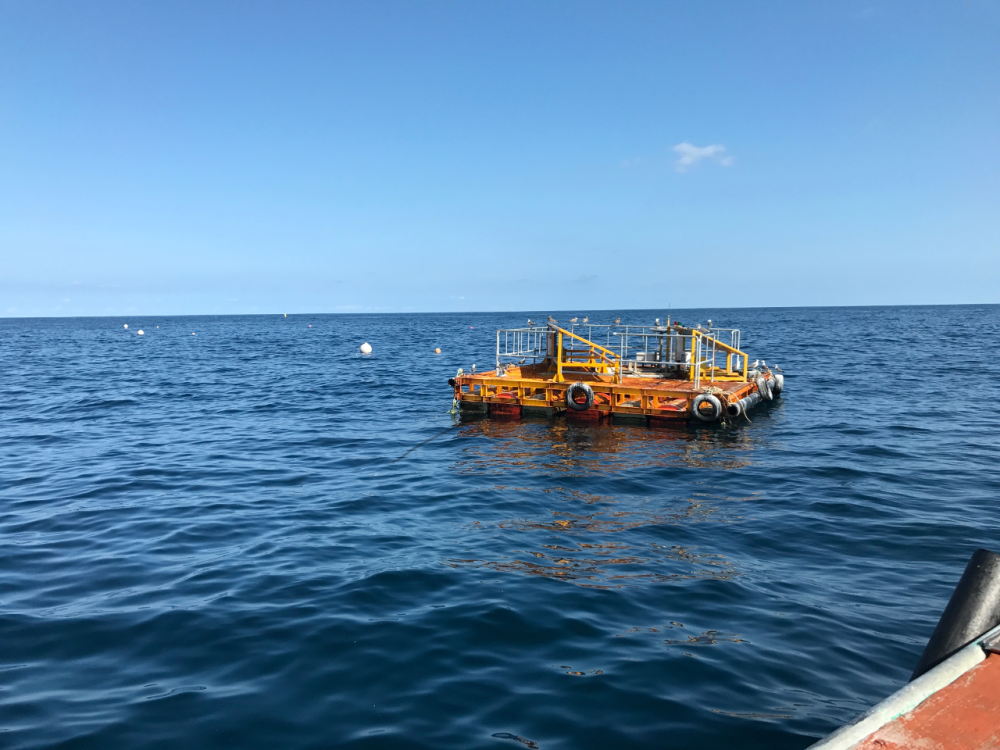 Picture Power Station