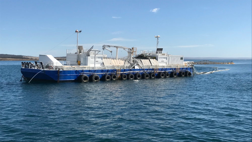 Picture Clean Seas Feed Barge