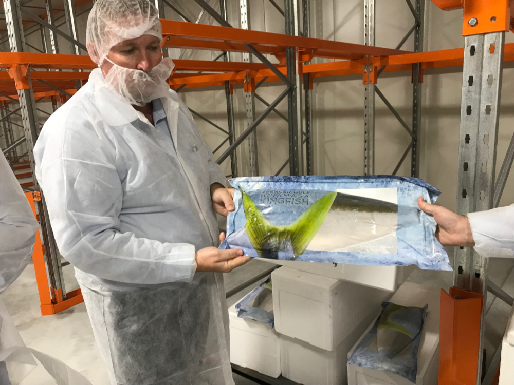 Bild Clean Seas Kingfisch Gefroren