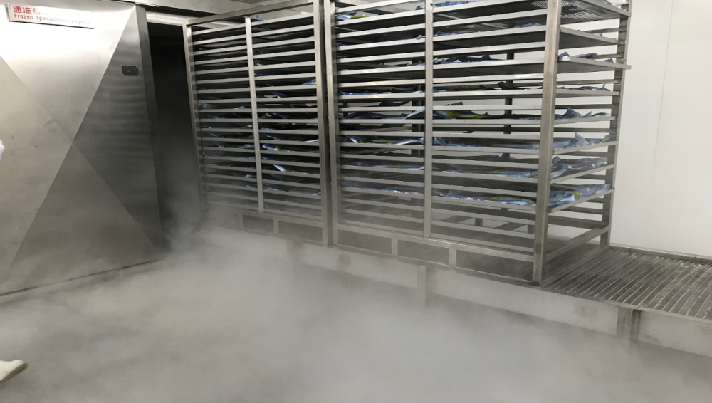 Picture Clean Seas Freezing Machine