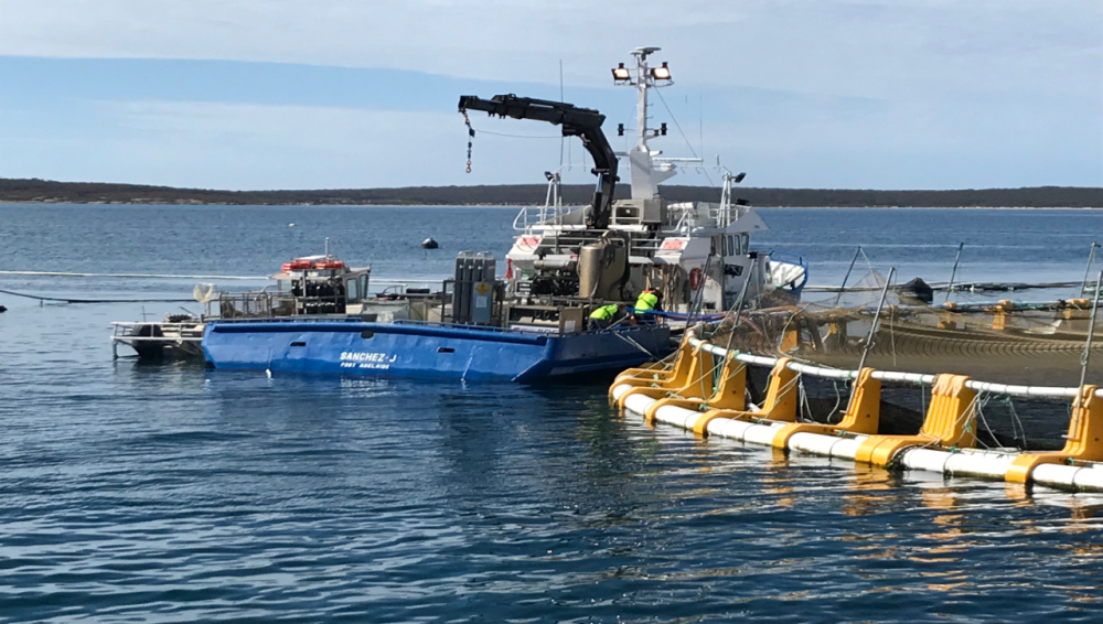 Bild Clean Seas Arbeit bei den Käfigen