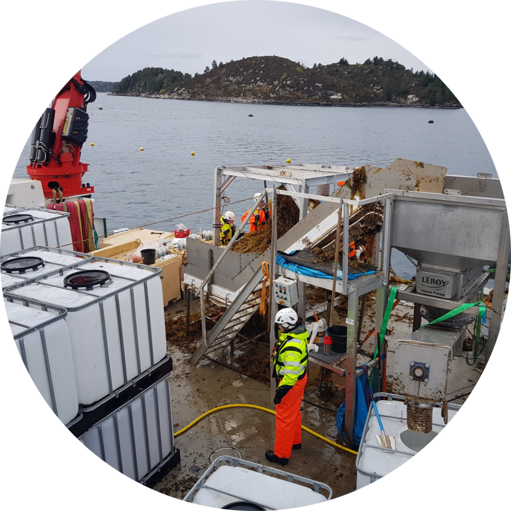 Picutre Leroy Boat Equipment