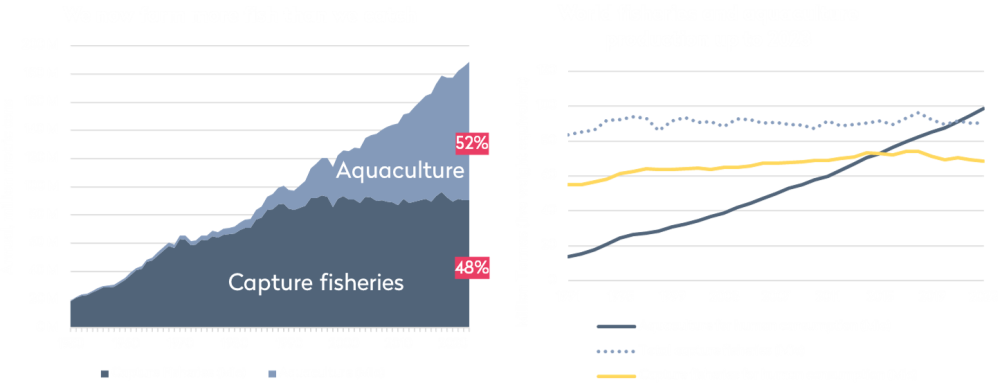 Note: Data on production, utilization and trade refer exclusively to aquatic animals. Excluded are aquatic mammals, crocodiles, alligators, caimans, and other aquatic products such as corals, pearls, shells, sponges, and algae. Source: FishStat FAO, 2025