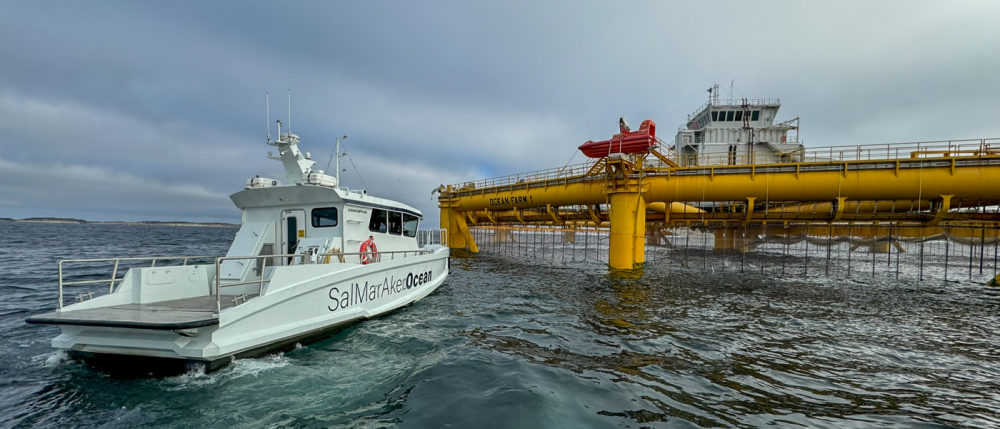 Boot mit der Aufschrift SalMar Aker Ocean vor einer großen gelben Offshore-Fischfarm im Meer, Symbol für moderne Aquakultur und nachhaltige Lachsproduktion.