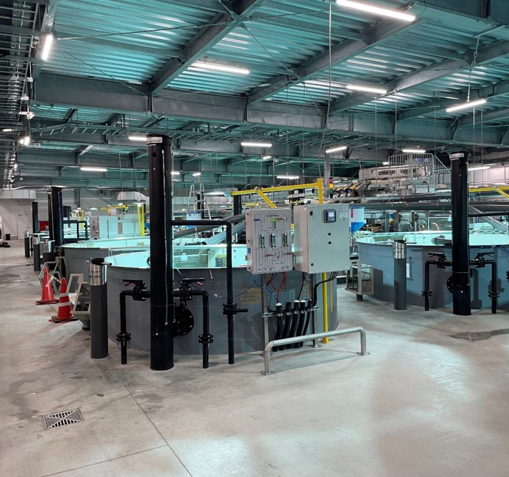 Innenaufnahme einer modernen Aquakultur-Anlage mit Tanks, Rohren und technischer Steuerung, die innovative Fischzucht in geschlossenen Kreislaufsystemen zeigt.