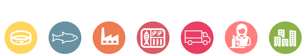 Infografik der Fisch- und Seafood-Wertschöpfungskette mit Symbolen für Lieferanten, Produzenten, Verarbeiter, Veredler, Logistik, Verkäufer und diversifizierte Unternehmen.