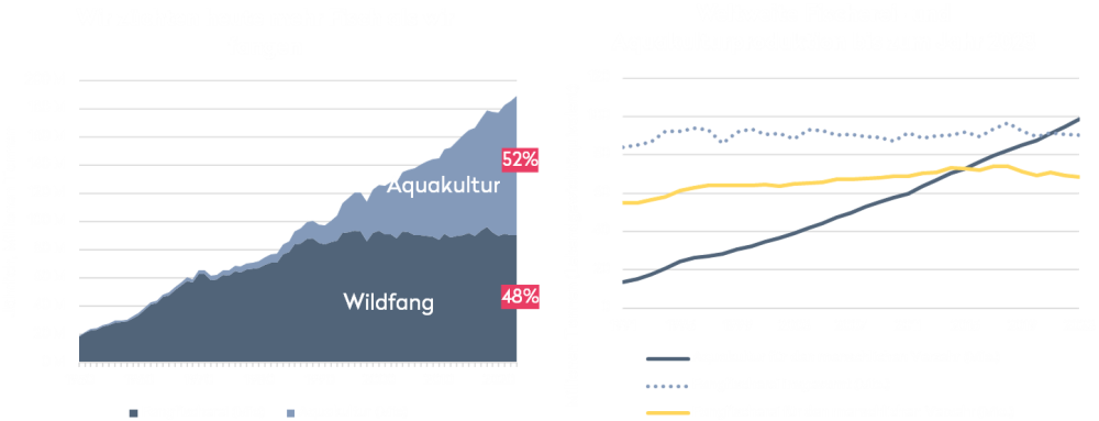 Hinweis: Die Daten zur Produktion, Nutzung und zum Handel beziehen sich ausschliesslich auf aquatische Tiere. Ausgeschlossen sind aquatische Säugetiere, Krokodile, Alligatoren, Kaimane sowie andere aquatische Produkte wie Korallen, Perlen, Muscheln, Schwämme und Algen. Quelle: FishStat FAO, 2025