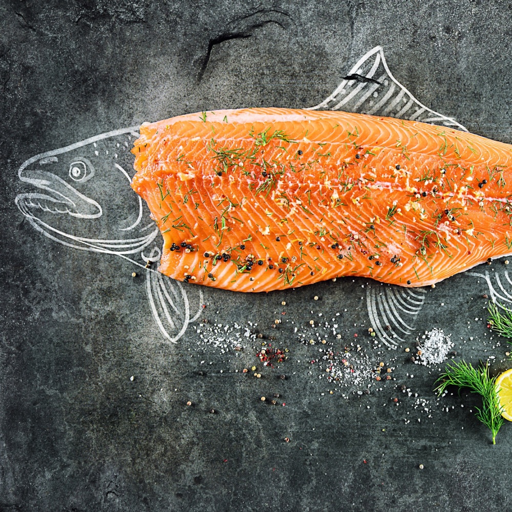 High-quality salmon fillet as a symbol of healthy proteins and sustainable investment opportunities.