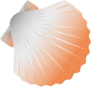 Image Shell