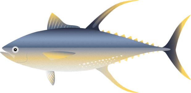 Illustration Fisch